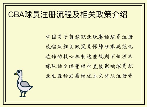 CBA球员注册流程及相关政策介绍