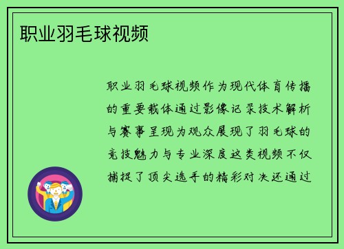 职业羽毛球视频